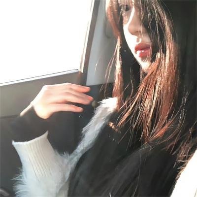 菜鸟老警第七季